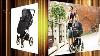 Adamex Reggio Special Edition 2in1 Pram Puschair Stroller Kinderwagen 2in1